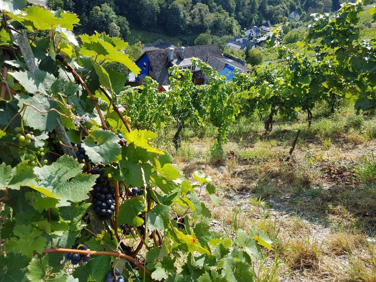 Rhine Pearl Hideaways Appartement Oberwesel Buitenkant foto